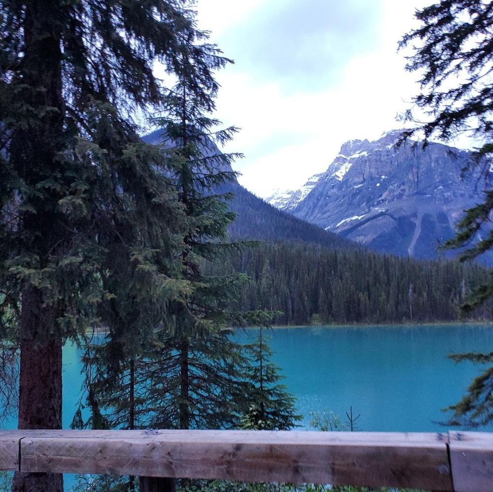 Meet your Posher, Liz